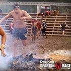 danny-criscione’s profile image