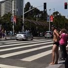 chris-sollars’s profile image