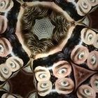 wes-hager’s profile image