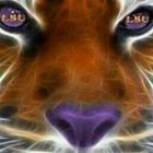 brian-johnson-27’s profile image