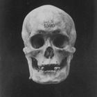 mateusacioli’s profile image