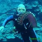 mark-maloof’s profile image