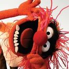 alejandro-hernand-16’s profile image