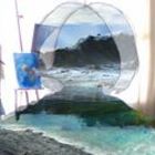 sloooslooyan’s profile image