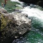 evan-jameson-fleming’s profile image