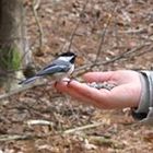 catherine-westerberg’s profile image