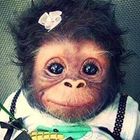 emon-surakitkoson’s profile image