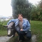 ivan-kramarev’s profile image