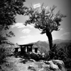 MadMath’s profile image