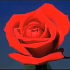 queenofthecloudsss’s profile image