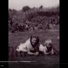 gale-strawbridge-pet’s profile image