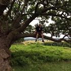 martyn-luke-johnson’s profile image