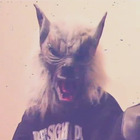 nocturnalist’s profile image