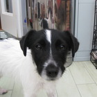 marcusferreira’s profile image