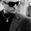 Max_Ewen’s profile image