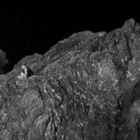 loncie’s profile image