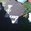 misa_laree’s profile image