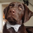 Avatar of user who RSVP'd to this event