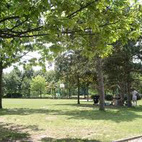 Lugar