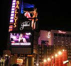Venue