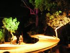 Venue
